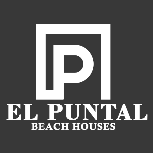Logo_ElPuntal